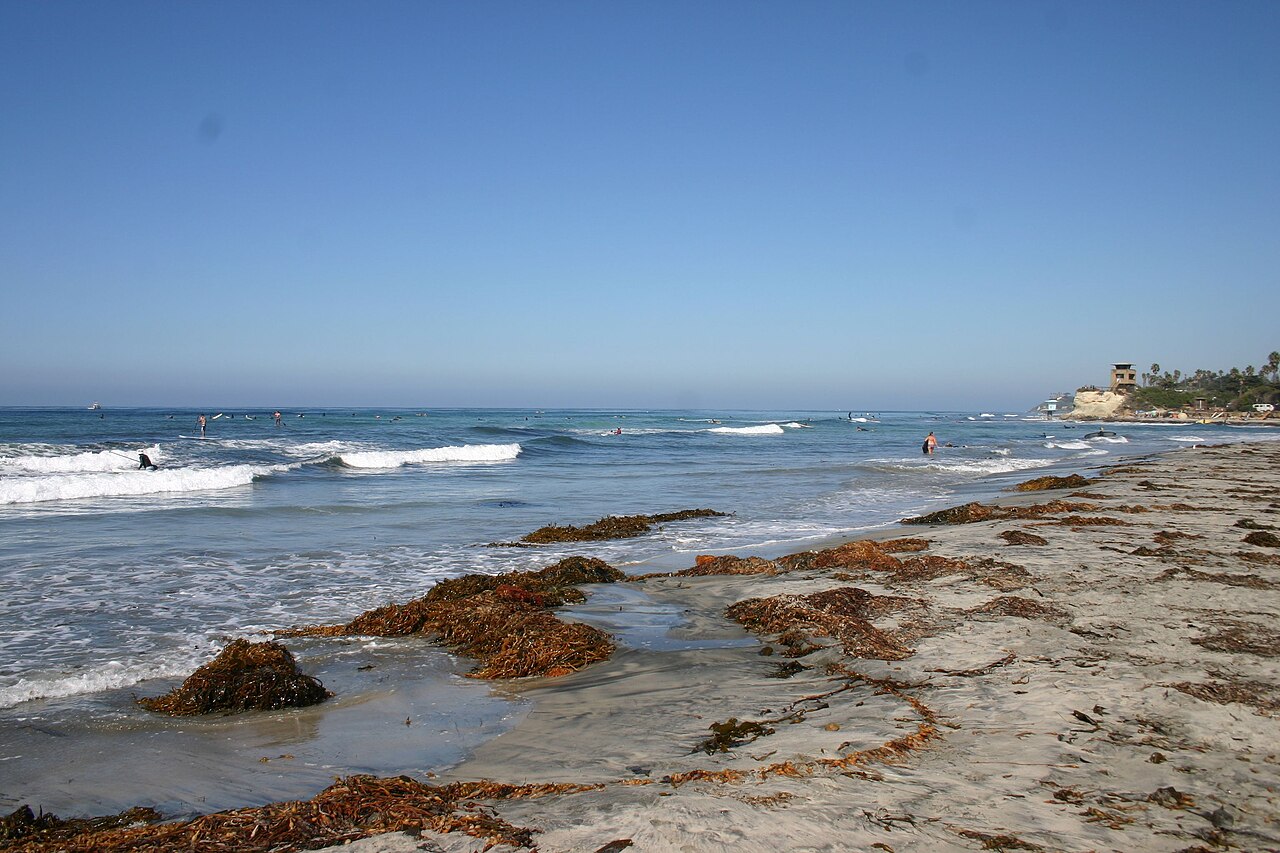 Cardiff State Beach looking north along the shoreline