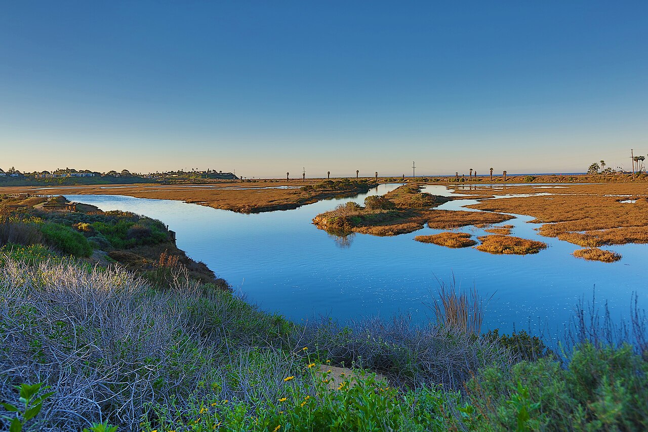Tidal channels and coastal habitat at San Elijo Lagoon